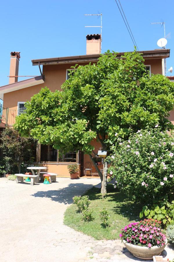 Casa Flora Apartment Treppo Grande Luaran gambar